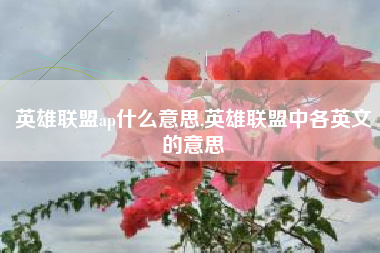 英雄联盟ap什么意思,英雄联盟中各英文的意思