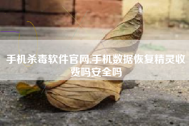 手机杀毒软件官网,手机数据恢复精灵收费吗安全吗