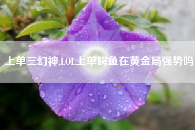 上单三幻神,LOL上单鳄鱼在黄金局强势吗