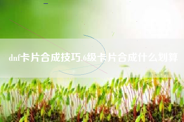 dnf卡片合成技巧,6级卡片合成什么划算