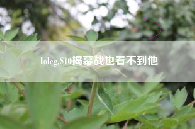 lolcg,S10揭幕战也看不到他