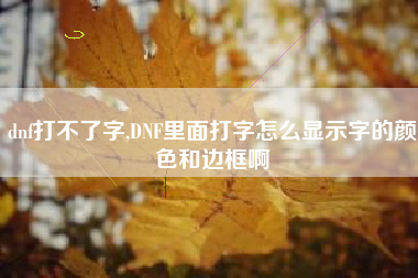 dnf打不了字,DNF里面打字怎么显示字的颜色和边框啊