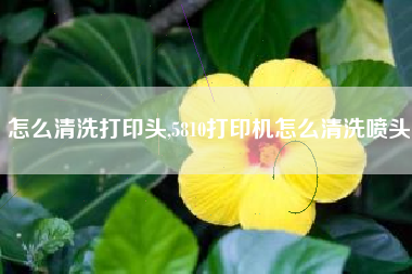 怎么清洗打印头,5810打印机怎么清洗喷头