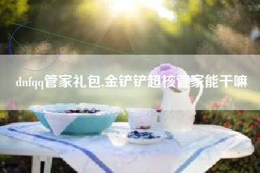 dnfqq管家礼包,金铲铲超核管家能干嘛