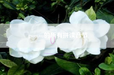 gsou,ou的所有拼读音节