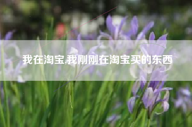 我在淘宝,我刚刚在淘宝买的东西