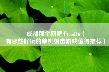 成都那个网吧有cod16（
有哪些好玩的单机射击游戏值得推荐）