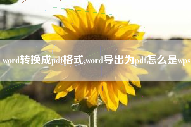 word转换成pdf格式,word导出为pdf怎么是wps