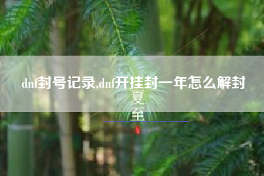 dnf封号记录,dnf开挂封一年怎么解封