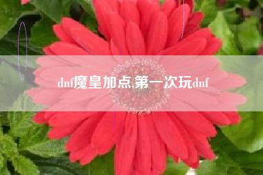 dnf魔皇加点,第一次玩dnf