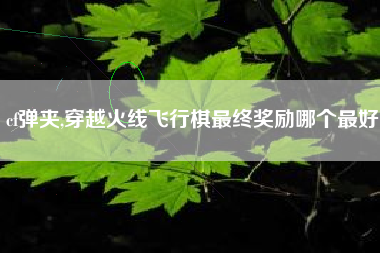 cf弹夹,穿越火线飞行棋最终奖励哪个最好