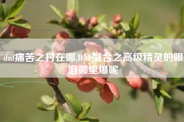 dnf痛苦之村在哪,DNF融合之高级精灵的眼泪哪里爆呢