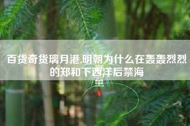 百货奇货璃月港,明朝为什么在轰轰烈烈的郑和下西洋后禁海