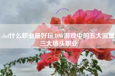 dnf什么职业最好玩,DNF游戏中的五大流量三大墙头职业