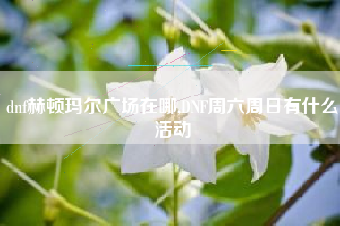 dnf赫顿玛尔广场在哪,DNF周六周日有什么活动