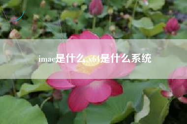 imac是什么,x64是什么系统