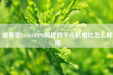 诺基亚2610,OPPO同样的千元机相比怎么样呢