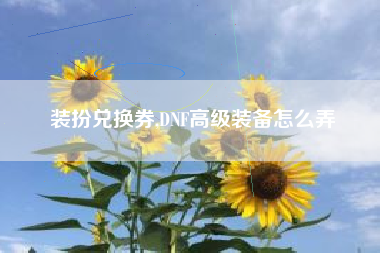 装扮兑换券,DNF高级装备怎么弄