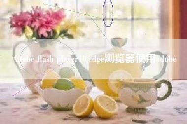 Adobe flash player10,edge浏览器使用adobe