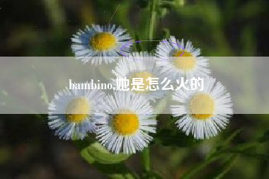 bambino,她是怎么火的