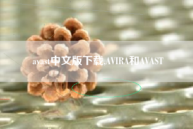 avast中文版下载,AVIRA和AVAST