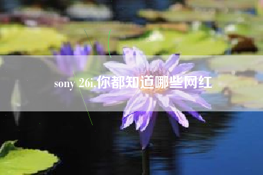 sony 26i,你都知道哪些网红