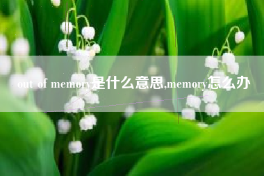 out of memory是什么意思,memory怎么办