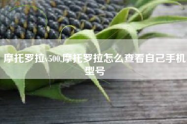 摩托罗拉v500,摩托罗拉怎么查看自己手机型号