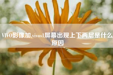 VIVO影像加,vivos1屏幕出现上下两层是什么原因