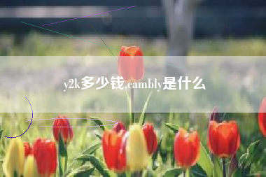 y2k多少钱,cambly是什么