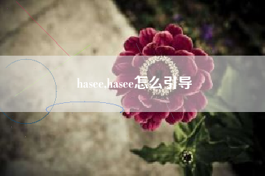 hasee,hasee怎么引导