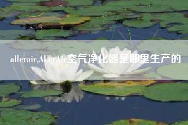 allerair,AllerAir空气净化器是哪里生产的