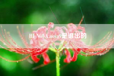 HI NOVA,nova9是谁出的