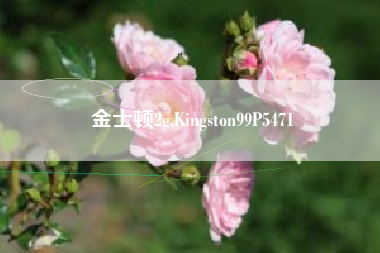 金士顿2g,Kingston99P5471