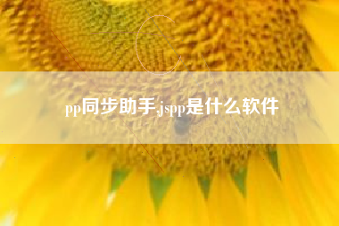 pp同步助手,jspp是什么软件