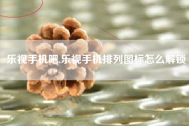 乐视手机吧,乐视手机排列图标怎么解锁