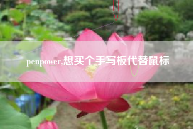 penpower,想买个手写板代替鼠标