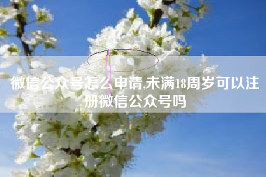 微信公众号怎么申请,未满18周岁可以注册微信公众号吗