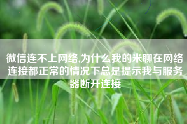 微信连不上网络,为什么我的米聊在网络连接都正常的情况下总是提示我与服务器断开连接