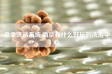 桑拿洗浴系统,南京有什么好玩的洗浴中心