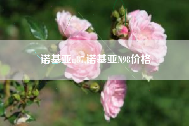 诺基亚n87,诺基亚N98价格