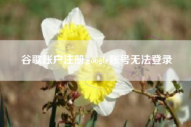 谷歌账户注册,google账号无法登录