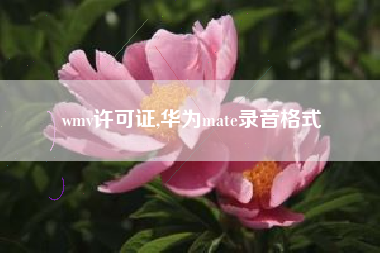 wmv许可证,华为mate录音格式