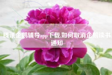 腾讯企鹅辅导app下载,如何取消企鹅读书通知