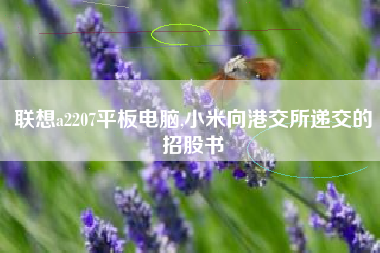 联想a2207平板电脑,小米向港交所递交的招股书