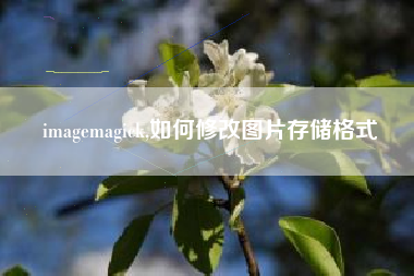 imagemagick,如何修改图片存储格式