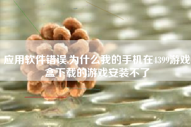 应用软件错误,为什么我的手机在4399游戏盒下载的游戏安装不了