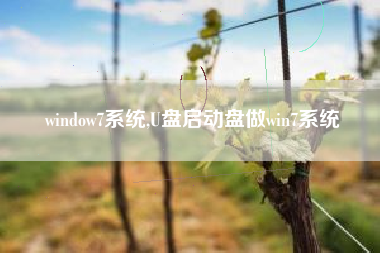 window7系统,U盘启动盘做win7系统