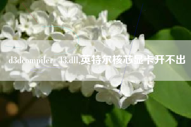 d3dcompiler_43.dll,英特尔核芯显卡开不出