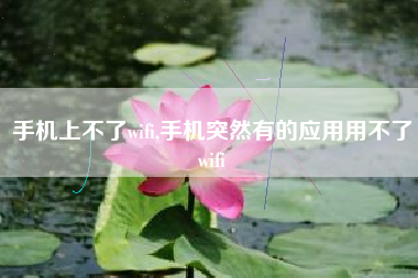 手机上不了wifi,手机突然有的应用用不了wifi